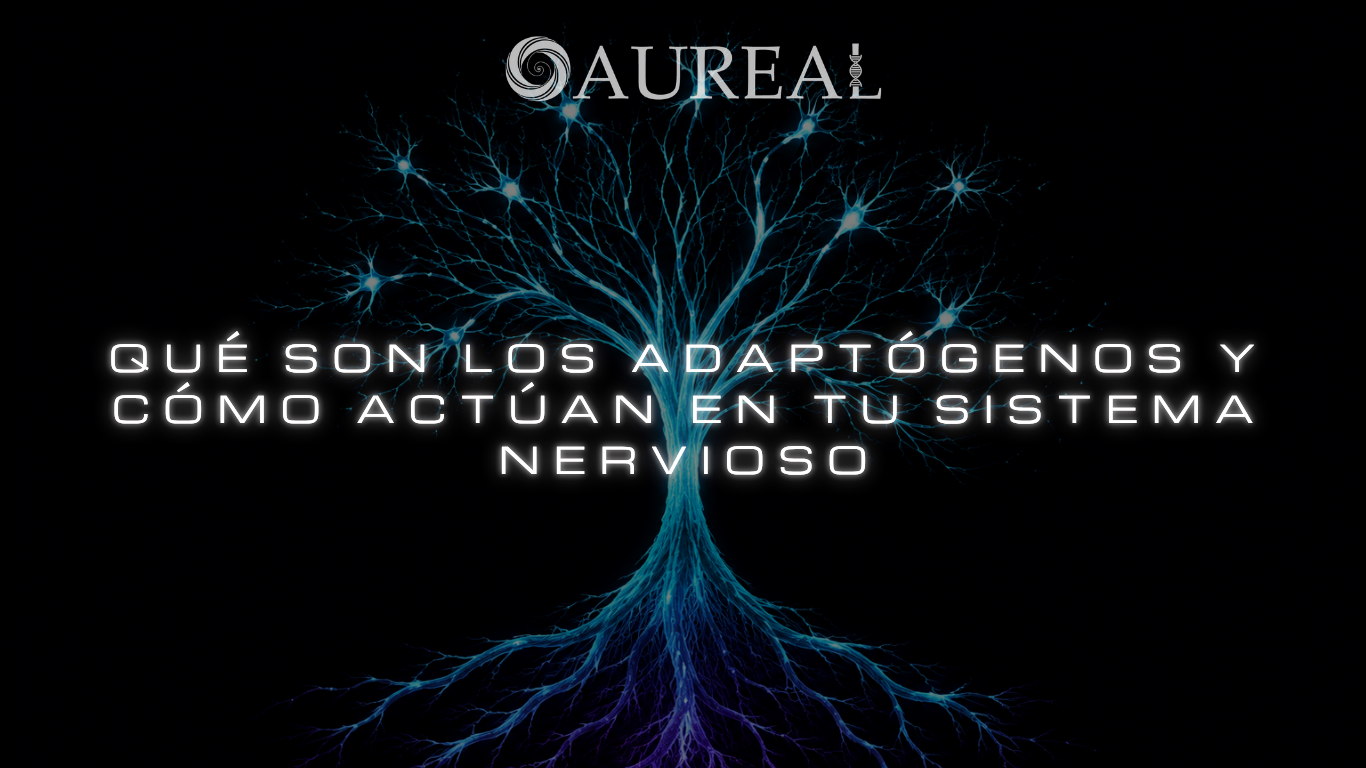 Qué son los adaptógenos y cómo actúan en tu sistema nervioso
