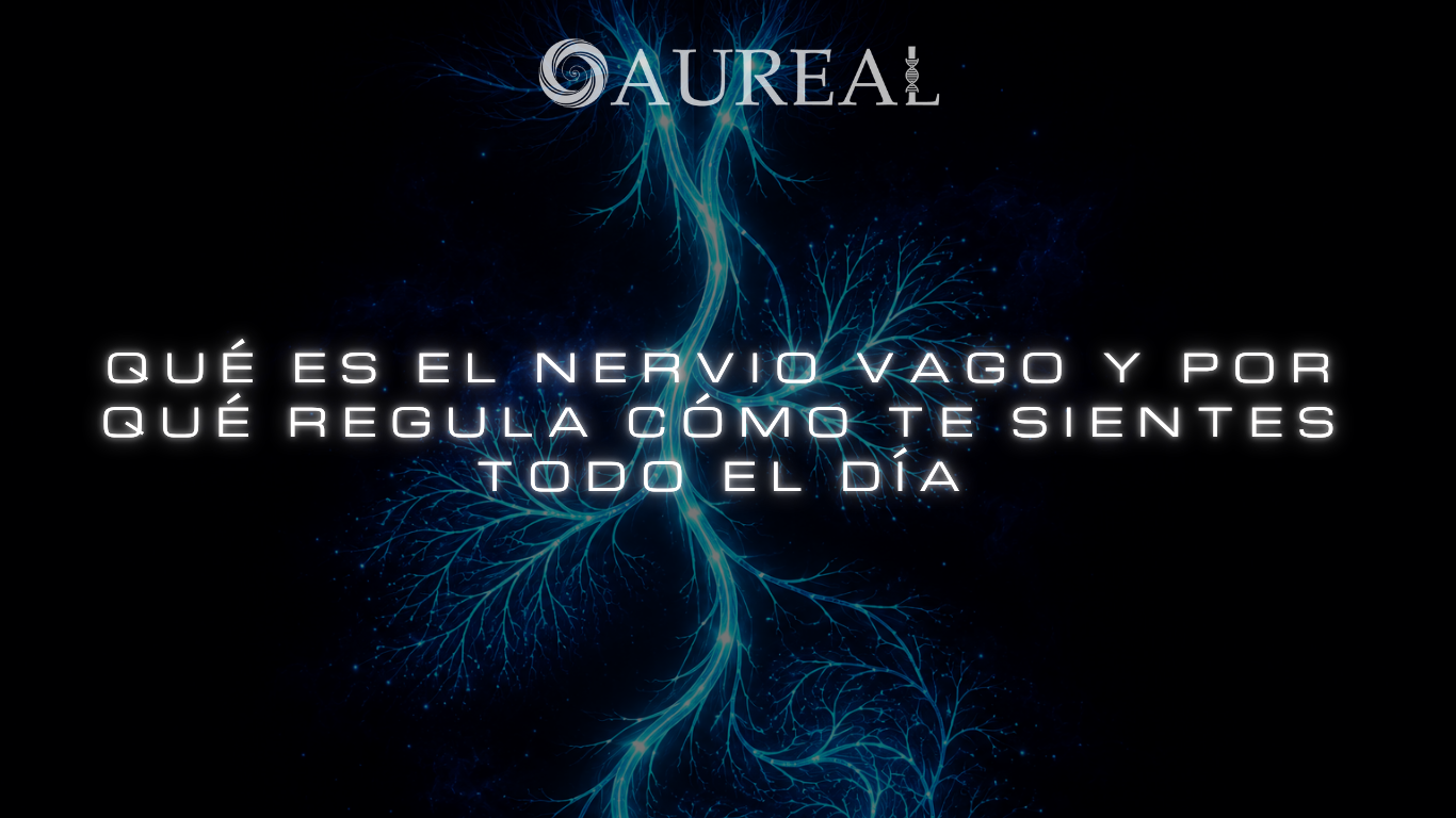 Qué es el nervio vago y por qué regula cómo te sientes todo el día