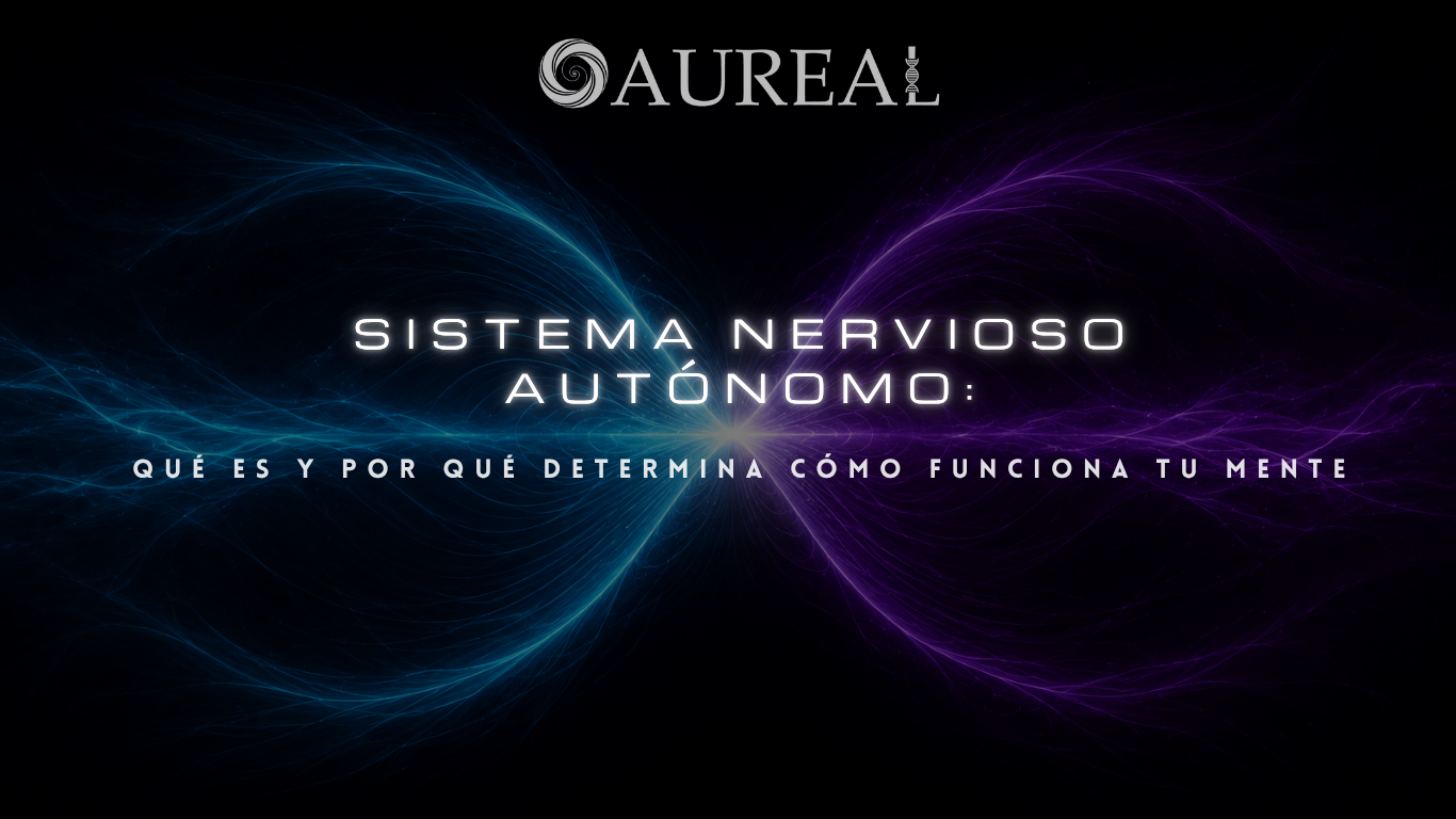 Sistema nervioso autónomo: qué es y por qué determina cómo funciona tu mente